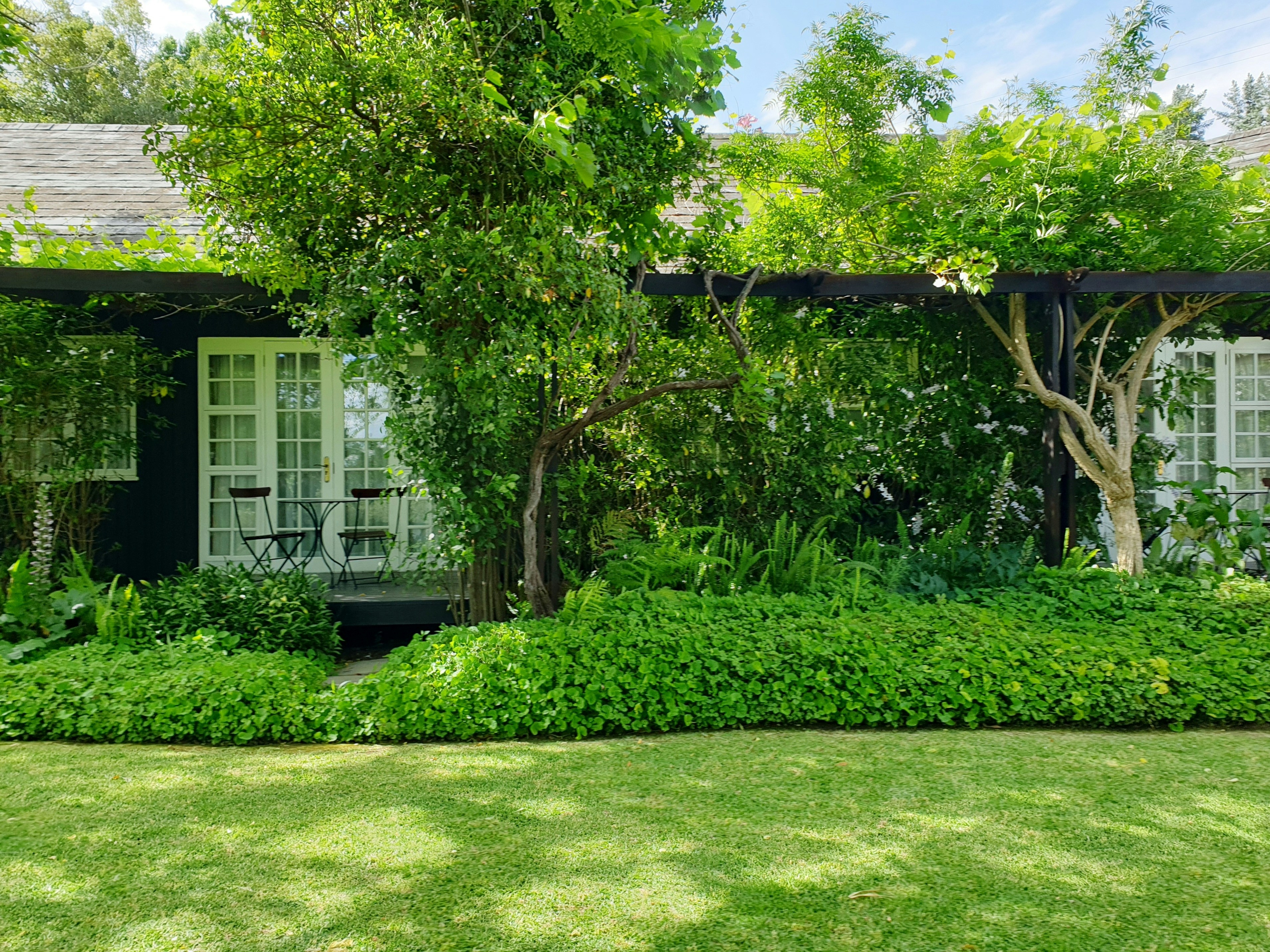 Bug-free front yard.